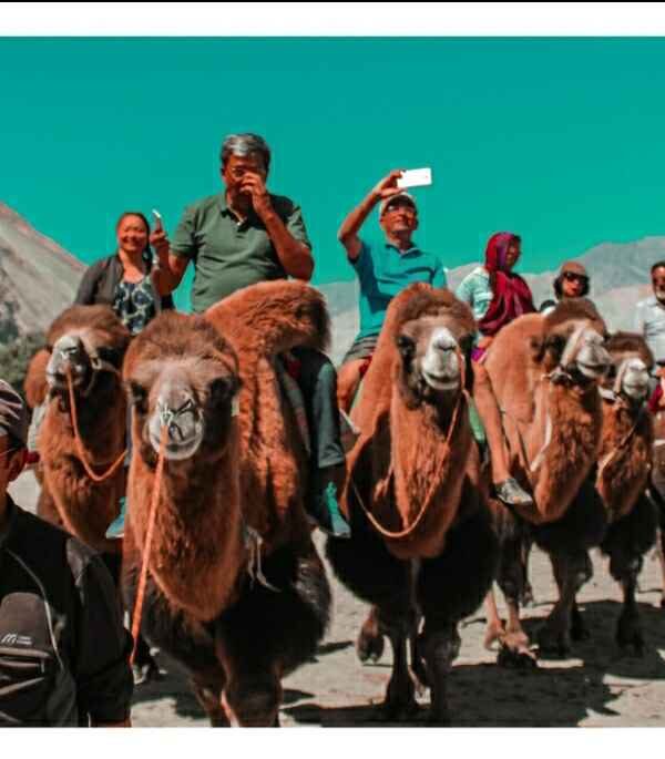 1592979549_1592979544226