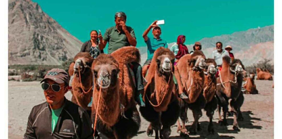 1592979549_1592979544226