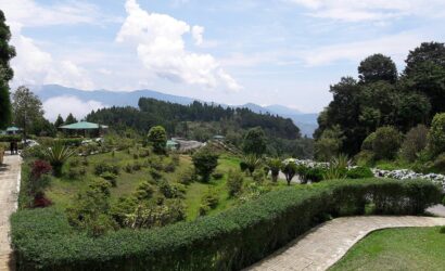 20160604-113448-largejpg