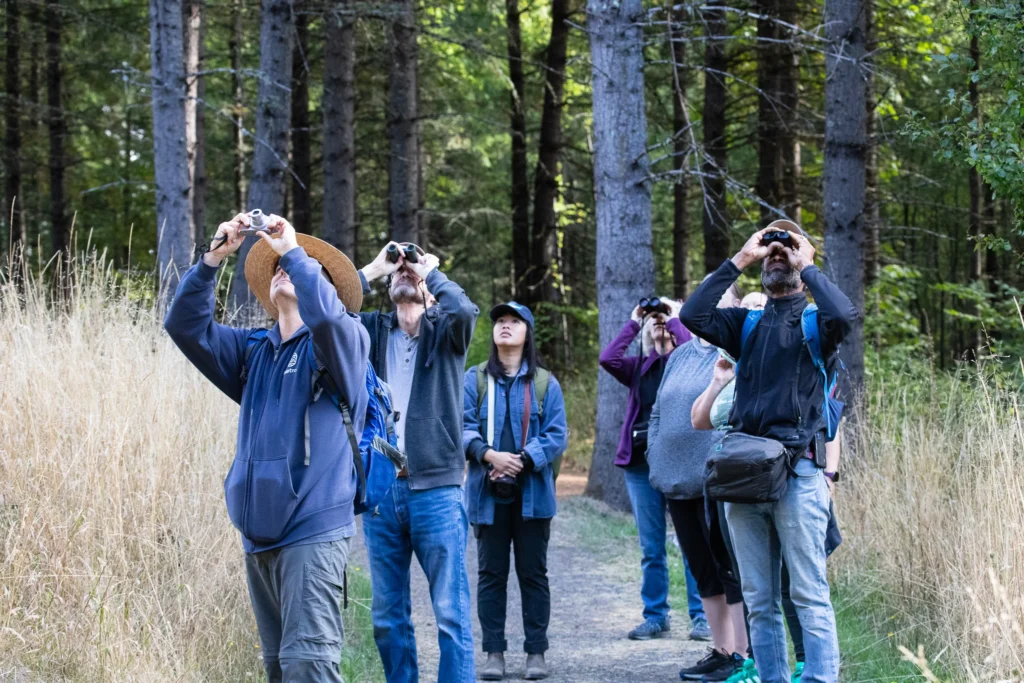 nature-walk-photography-birding