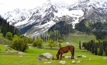 Kashmir-Tourism-Best-of-Kashmir (1)