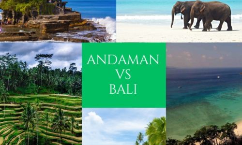 Bali vs Andaman: Which Island Escape Should You Choose